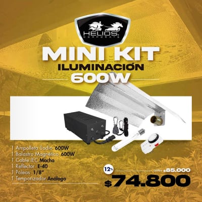 Mini Kit | Iluminación Pro | Magnético | 600W