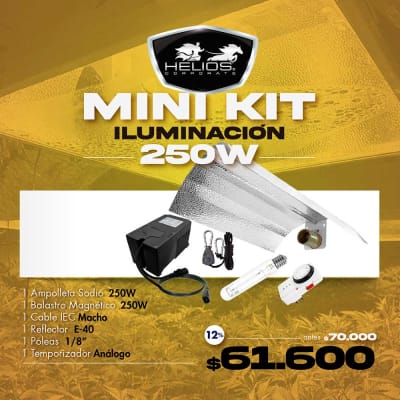 Mini Kit | Iluminación Pro | Magnético | 250W