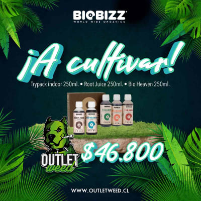 Promo a Cultivar! | 250ml | Bio Bizz