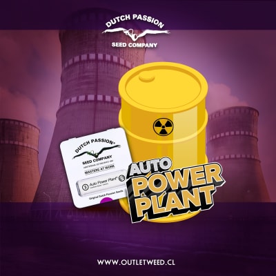 Semillas | Power Plant | Auto | 3 semillas | Dutch Passion
