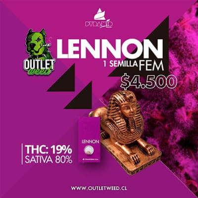 Semillas | Lennon | Fem | 1 semilla | Pyramid Seeds