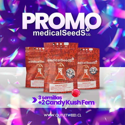 Semillas | Promo 3x Y Griega + 2x Oreoz | Fem | Medical Seeds