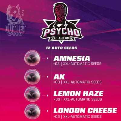 Semillas | Psycho XXL Automix | Auto | 12 semillas | BSF