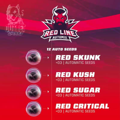 Semillas | Red Line Automix | Auto | 12 semillas | BSF