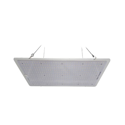 Quantum Board Slim Sun | 200W | Helios Corporate