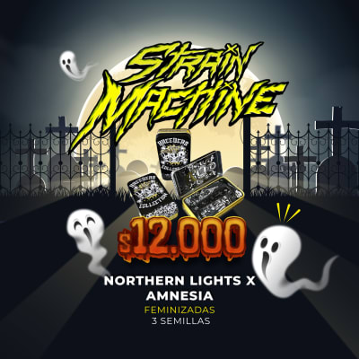 Semillas | Northern Lights x Amnesia | Fem | 3 semillas | Strain Machine