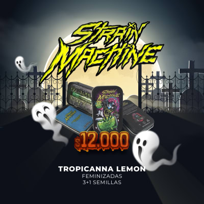 Semillas | Tropicanna Lemon | Fem | 3 +1 semillas | Strain Machine