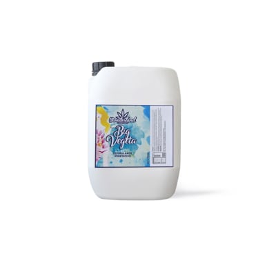 Big Vegeta | 10 lts. | Wonderland