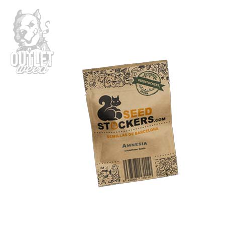 Semillas | Amnesia | Auto | 3 semillas | Seed Stockers2