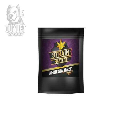 Semillas | Amnesia Haze | Auto | 12 semillas | Strain Masters2