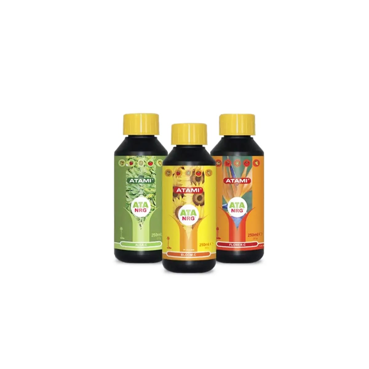 Triangle Pack | Atami2