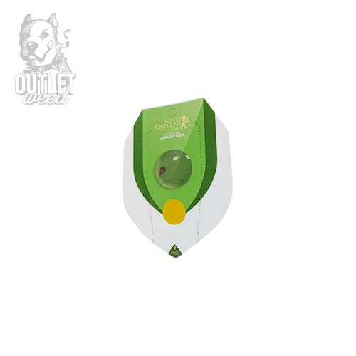 Semillas | Royal Creamatic | Auto | 1 semilla | Royal Queen2