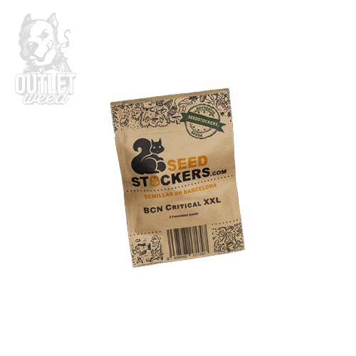 Semillas | BCN Critical XXL | Fem | 3 semillas | Seed Stockers2