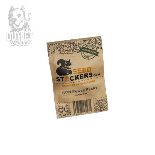 Semillas | BCN Power Plant | Fem | 3 semillas | Seed Stockers2