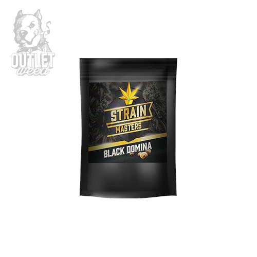 Semillas | Black Domina | Auto | 12 semillas | Strain Masters2