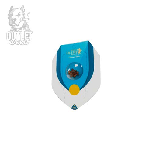 Semillas | Fast Eddy | Auto CBD | 1 semilla | Royal Queen2