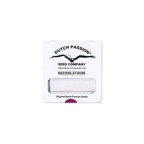 Semillas | Daiquiri Lime | Auto | 3 semillas | Dutch Passion2