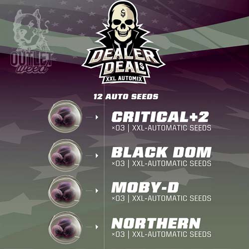 Semillas | Dealer Deal XXL Automix | Auto | 12 semillas | BSF1