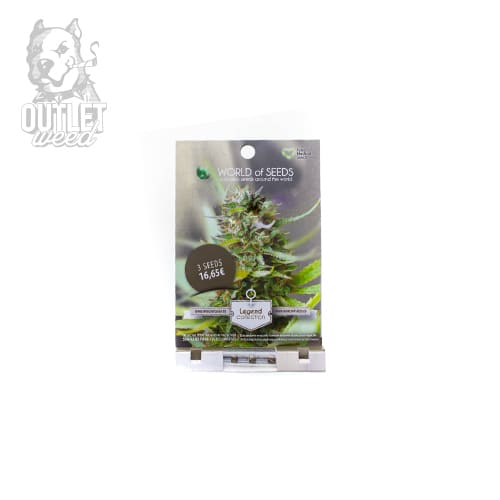 Semillas | Chronic Haze | Fem | 3 semillas | World Of Seeds2