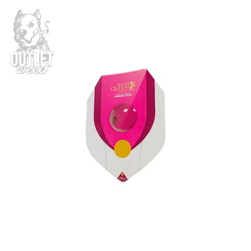 Semillas | Royal AK | Fem | 3 semillas | Royal Queen2