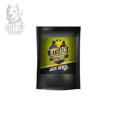 Semillas | Jack Herer | Auto | 1 semilla | Strain Masters2