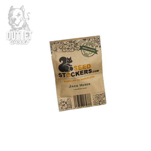 Semillas | Jack Herer | Fem | 3 semillas | Seed Stockers2