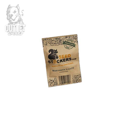 Semillas | Northern Lights | Auto | 5 semillas | Seed Stockers2