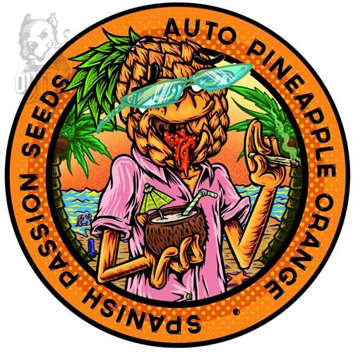 Semillas | Pineapple Orange | Auto | 3 semillas | Spanish Passion Seeds1