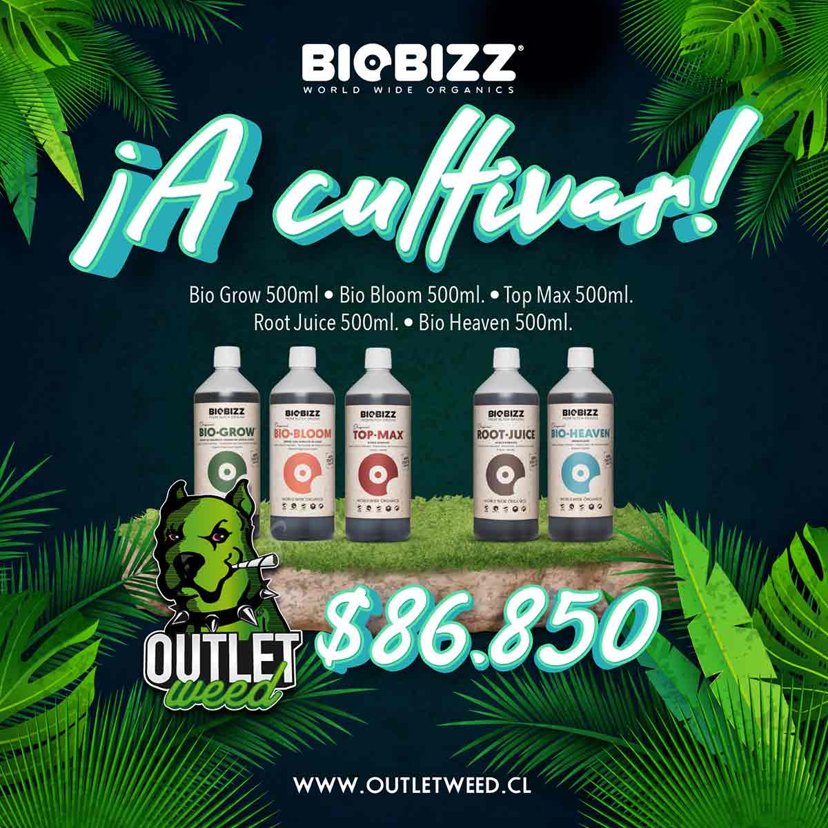 Promo a Cultivar! | 500ml | Bio Bizz1