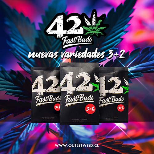 Semillas | C4 | Auto | 3+2 semillas | FastBuds1