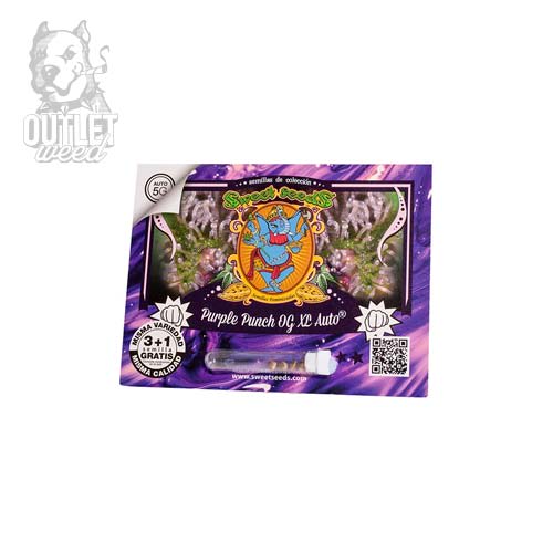 Semillas | Purple Punch OG XL | Auto | 3+1 semillas | Sweet Seeds2
