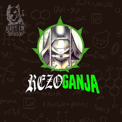 Semillas | Rezo Ganja | Auto | 3 semillas | Chef Genetics1