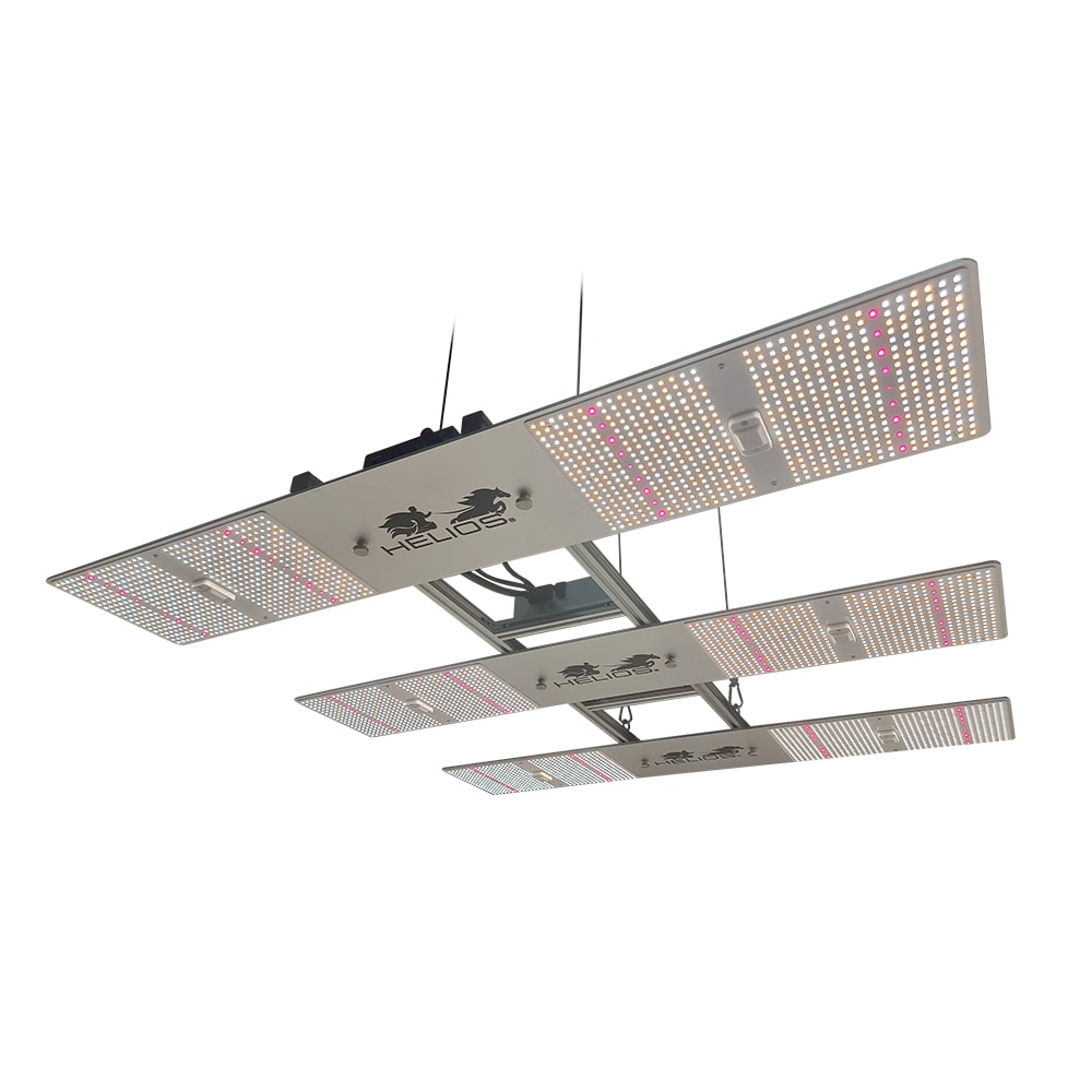 Quantum Board Serie X | 650W | Helios Corporate3