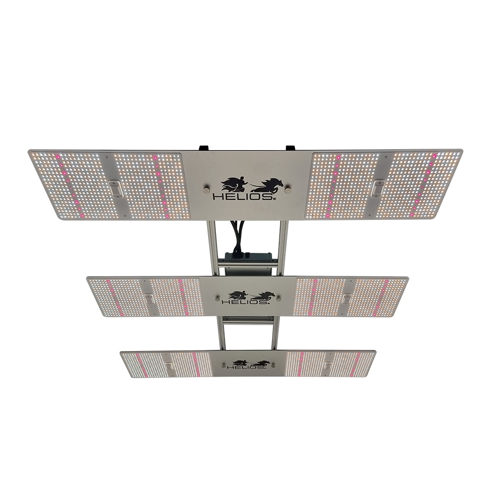 Quantum Board Serie X | 650W | Helios Corporate4