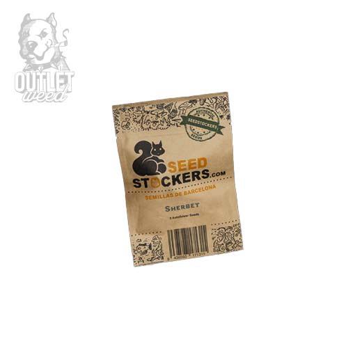 Semillas | Sherbet | Auto | 3 semillas | Seed Stockers2