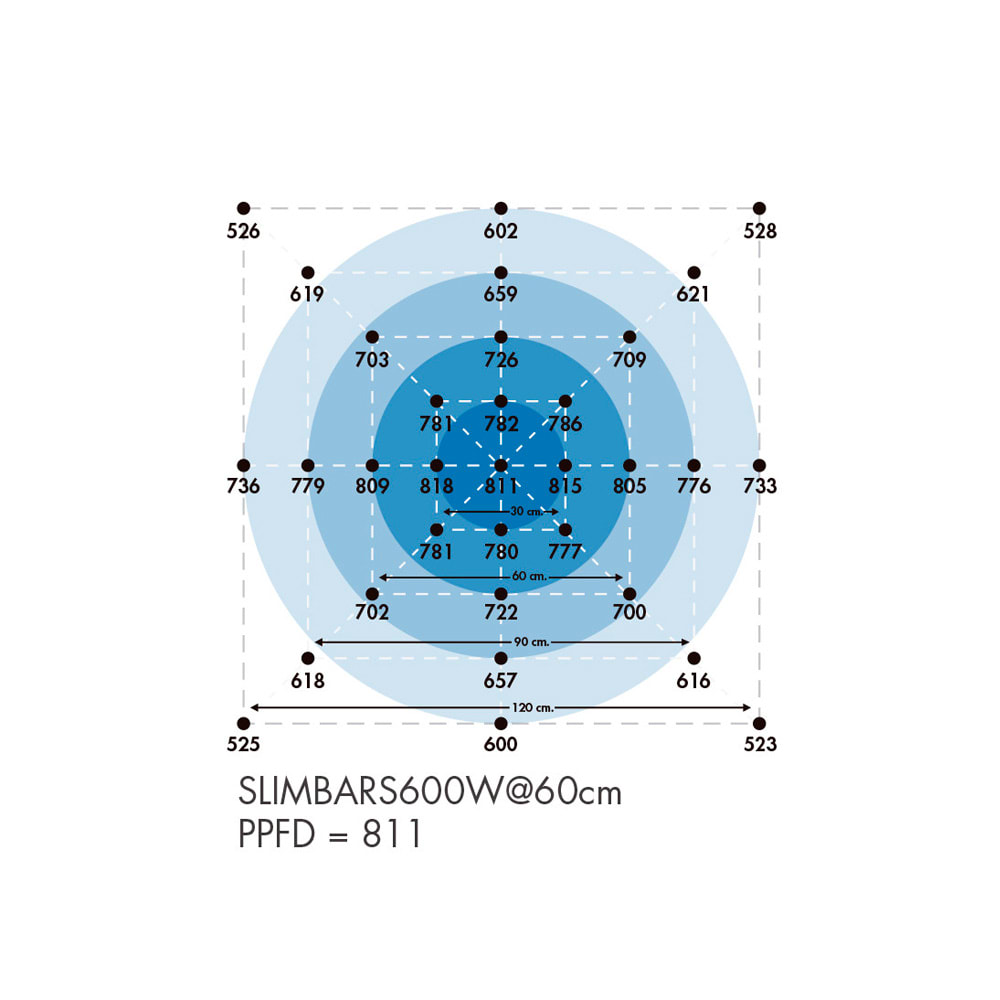 Quantum Board Slim Bar Pro | 630W | Helios Corporate11