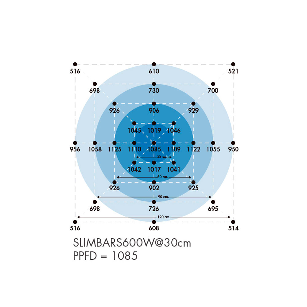 Quantum Board Slim Bar Pro | 630W | Helios Corporate12