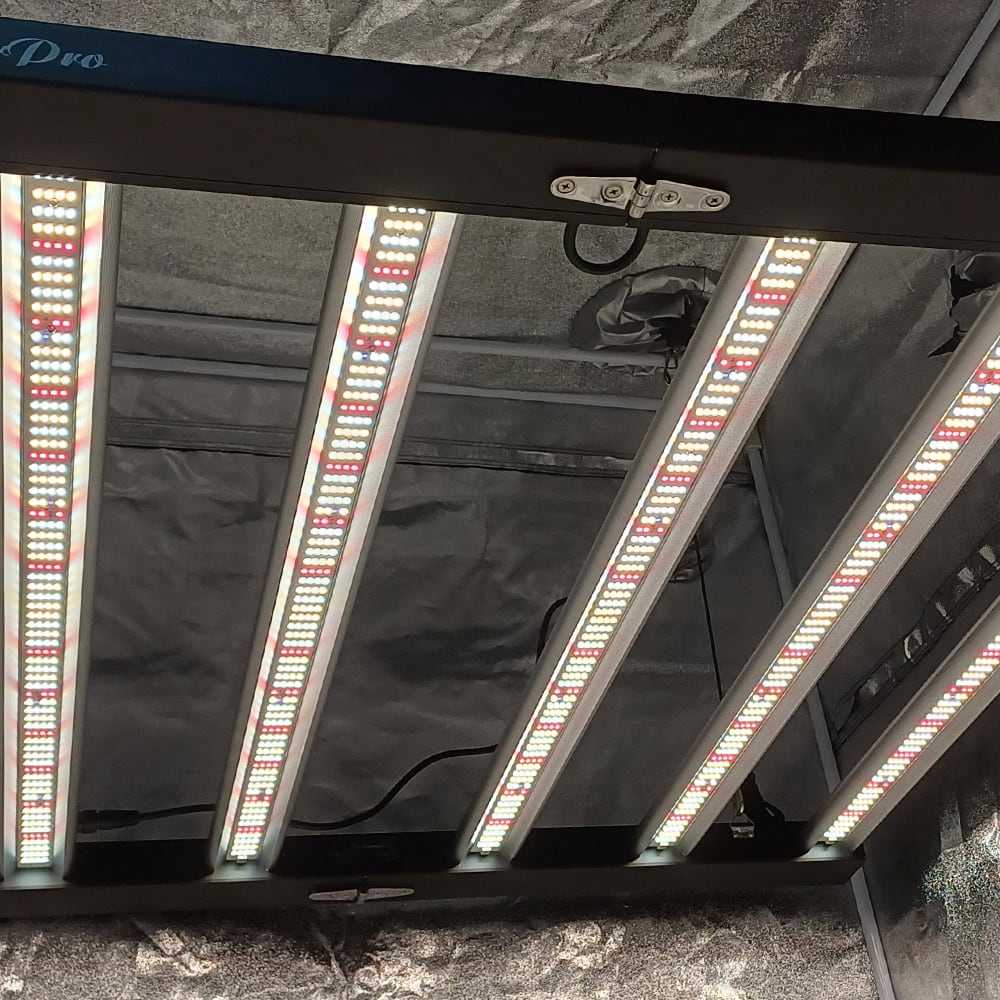 Quantum Board Slim Bar Pro | 630W | Helios Corporate8