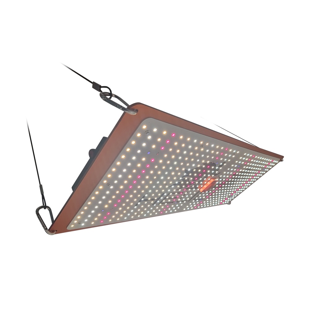 Quantum Board Slim Sun Pro  | 240W | Helios Corporate5