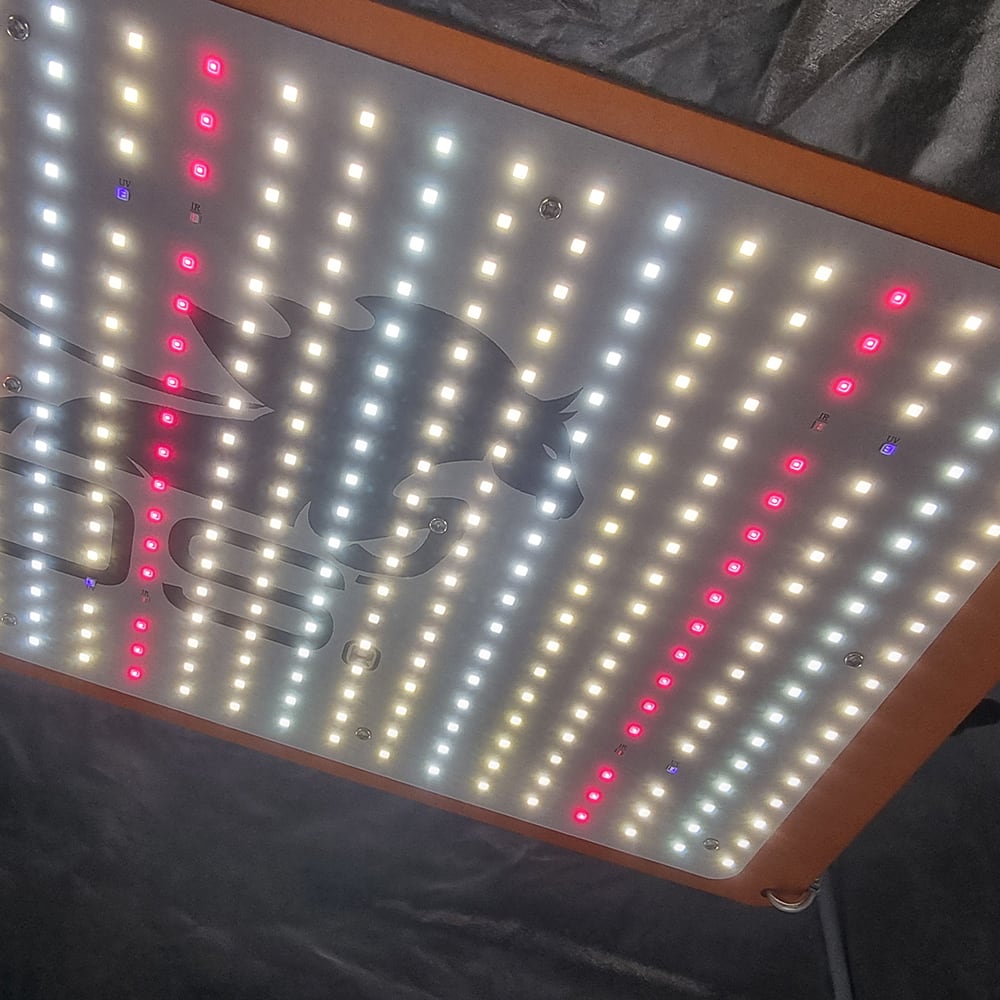 Quantum Board Slim Sun Pro  | 240W | Helios Corporate8