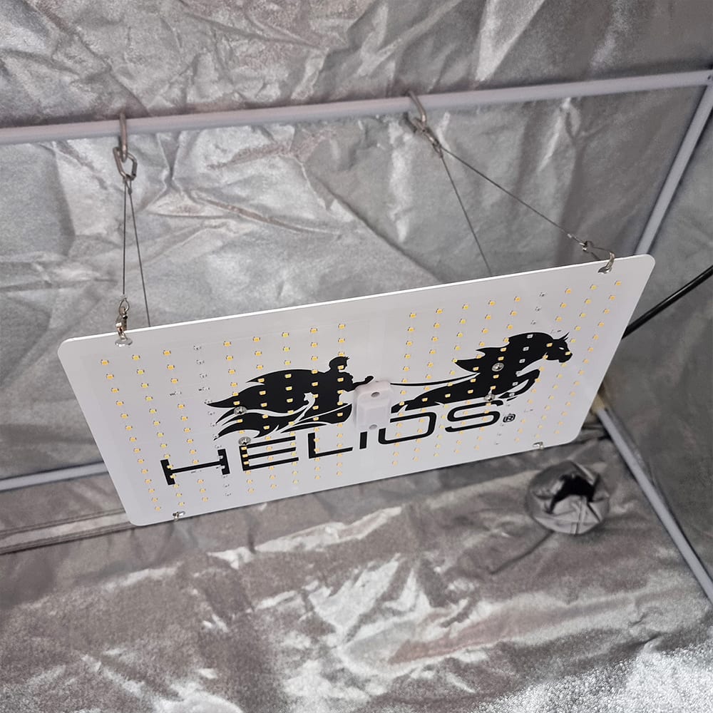 Quantum Board Slim Sun | 100W | Helios Corporate5