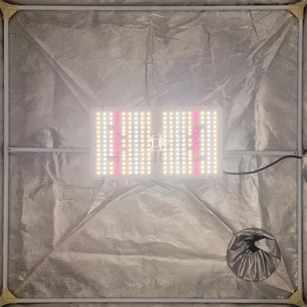 Quantum Board Slim Sun | 100W | Helios Corporate8