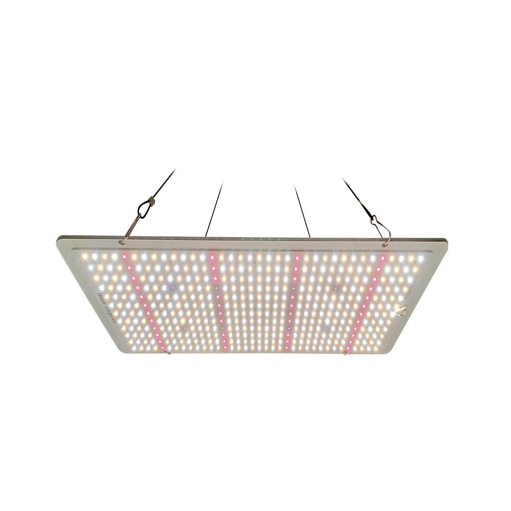 Quantum Board Slim Sun | 200W | Helios Corporate2