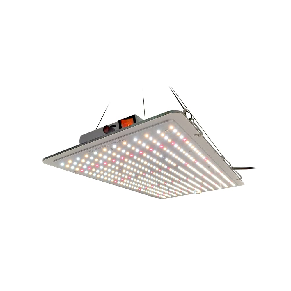 Quantum Board Slim Sun | 200W | Helios Corporate3