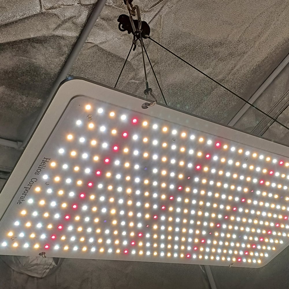 Quantum Board Slim Sun | 200W | Helios Corporate7