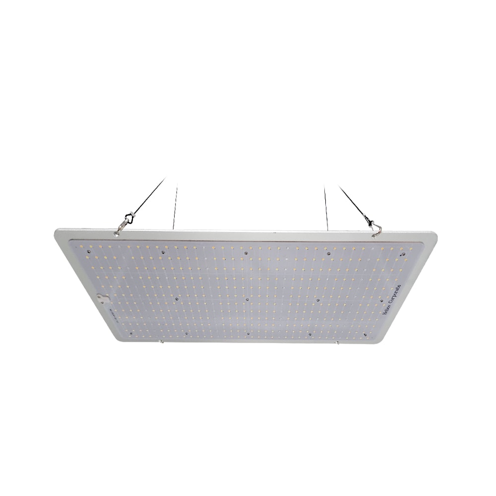 Quantum Board Slim Sun | 200W | Helios Corporate1