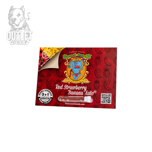 Semillas | The Red Family | Red Strawberry Banana | Auto | 3+1 semillas | Sweet Seeds2
