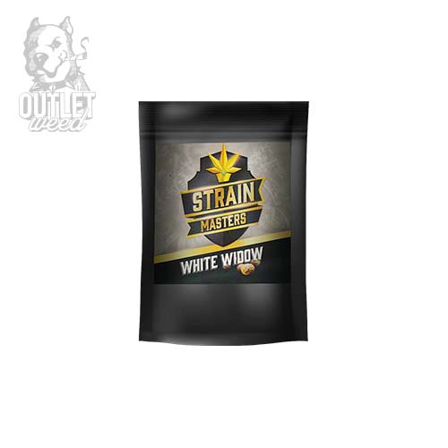 Semillas | White Widow | Auto | 1 semilla | Strain Masters2