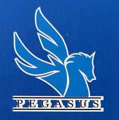 PEGASUS