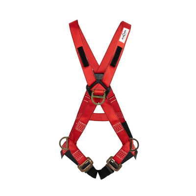 ARNES (P) 4 ARG ESTANDAR T/L-XL   ARP04  MACAYA1